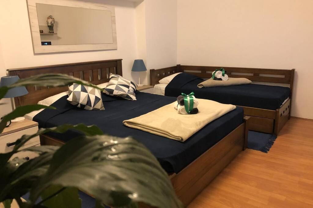 Apartments Balkanska City Center Belgrad Exterior foto